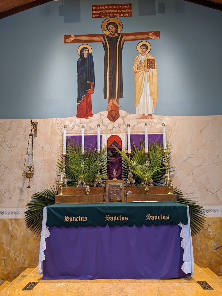 Tough But Not Unbearable: Palm Sunday Homily